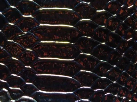 Holographic crocodile pattern Stock Photos