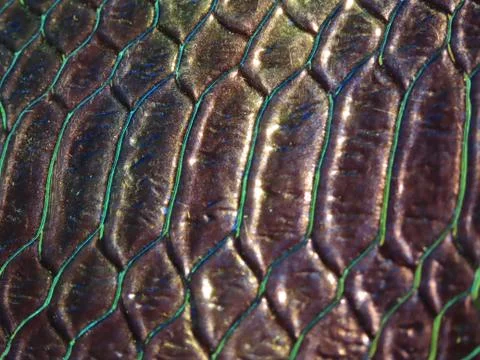 Holographic crocodile pattern Stock Photos