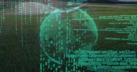 Holographic digital globe being animated, streaming code over grassy meadow, 3D Stock Footage 308602619