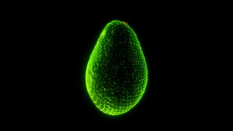 Holographic Endless Loop of a Rotating Avocado in 4K Stock Footage 304739002