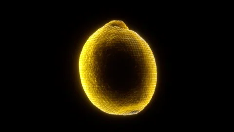 Holographic Endless Loop of a Rotating Lemon in 4K Stock Footage 304738600
