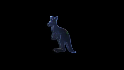 Holographic kangaroo rotating on black background Stock Footage 316237253