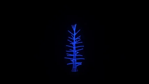 Holographic Maple Tree Growth 3D Animation Stock Footage 280075175