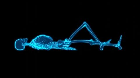 Holographic Profile Skeleton Compression Display Stock Footage 337092422