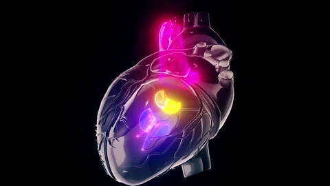Holographic scan of human heart Stock Footage 296553851