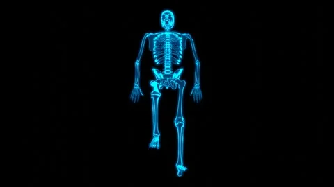 Holographic Superior Skeleton Alignment HUD Screen Stock Footage 337092415
