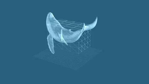 Holographic Whale in 3D Digital Grid: A Study of Blue Marine Tech Vibes Stock Footage 343640123