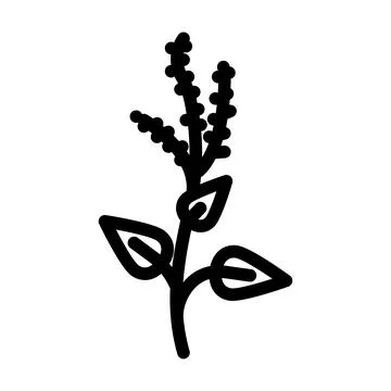 Holy basil ayurvedic herb line icon vector illustration 스톡 일러스트