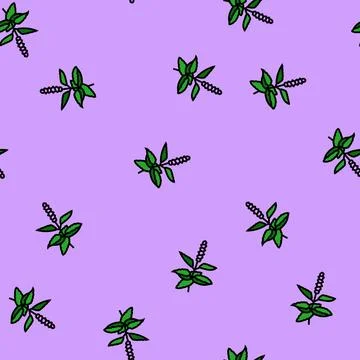 Holy basil ayurvedic herb vector seamless pattern 库存插图