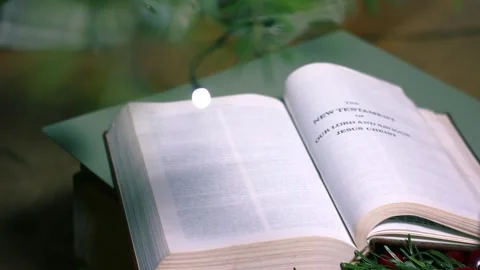 Holy Bible book of New Testament view through Christmas tree Stock Footage 325449079