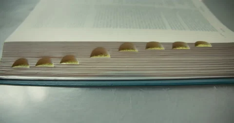 Holy Bible open book on the table. Scriptures on pages of a wise ancient book. Stock Footage 239190232