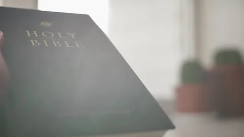 Holy bible in the rays of the sun. Video stock 303589256