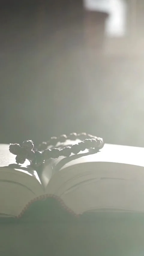 Holy bible in the rays of the sun. 스톡 동영상 329480097