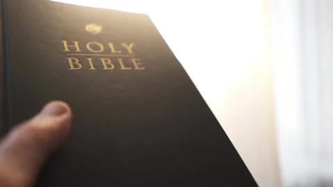 Holy bible in the rays of the sun. Stock-Footage 333777956