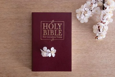 Holy bible on table top view with blooming spring branch Stock Photos