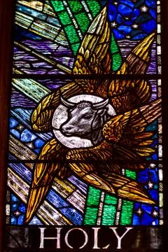 Holy cow Stock Photos