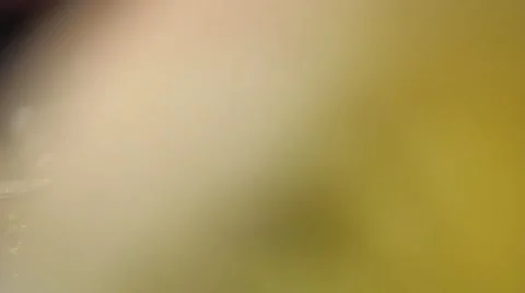 Holy Cross on Holy Scripture Stock Footage 55087316