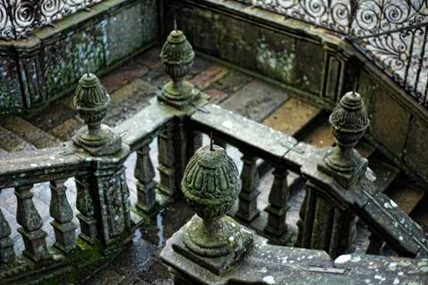 Holy lichens Stock Photos