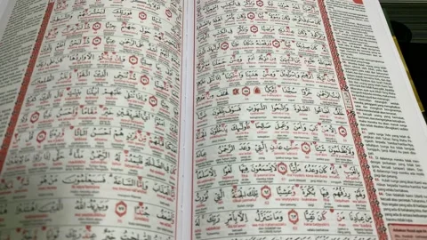 Holy Quran Stock Footage 233556746