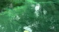 Holy Springs volcanic water surface in Tampaksiring Bali Indonesia HD Footage