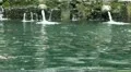 Holy Springs water bath Bali Indonesia HD Footage