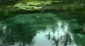 Holy springs water surface reflection with swallows Bali indonesia HD Footage