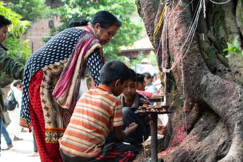 Holy Tree Stock Photos
