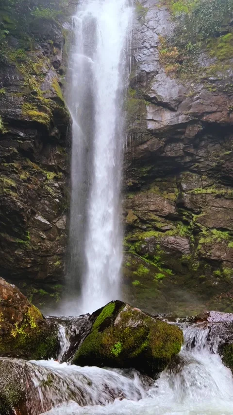 Holy waterfall of Abkhazia Stock Footage 310539868