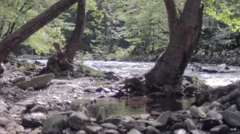 Holy Waters Video stock 7765729