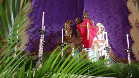 Holy Week Palm Sunday - religious symbol Stock Footage 268005553