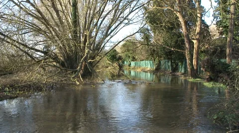 Holybrook 04 Video stock 33876668