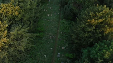 Holywell Cemetery Stock Footage 169653717