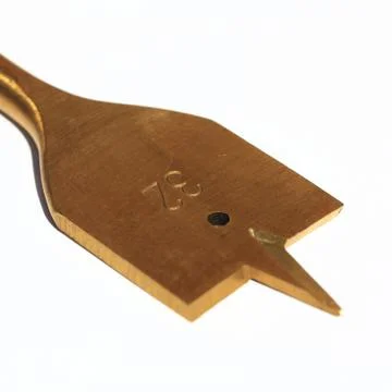 Holzbohrer Stock-Fotos