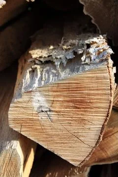 Holzscheit Stock Photos