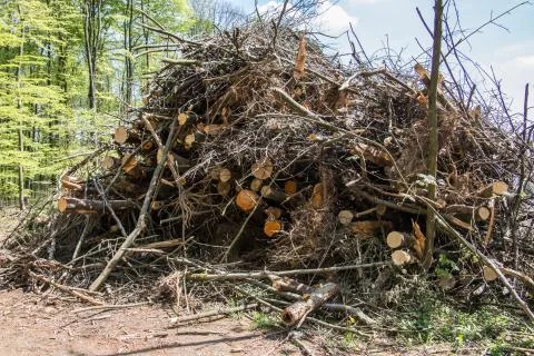 Holzschnitt Stock Photos