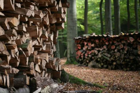 Holzstapel Stock Photos