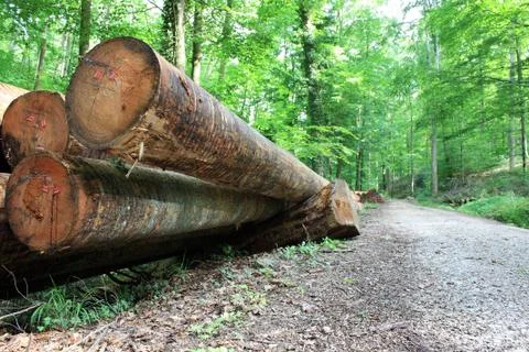 Holzstapel Stock Photos