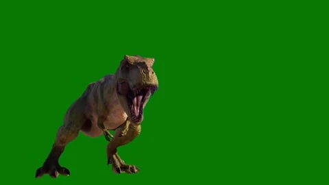 Homalocephale Dinosaur Roaring Down Loop Jurassic World Dinosaurs Green Screen. Stock-Footage 265148863