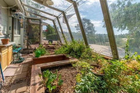 A home back yard Stock-Fotos