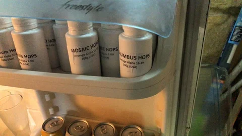 Home beer brewing openign fridge door to containers of hops Stock Footage 127829015