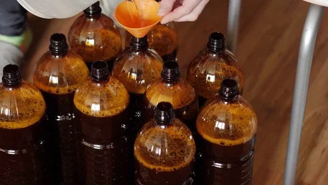 Home brewery. Bottling beer Stock Footage 75010440