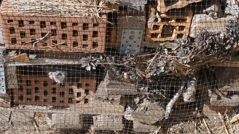 Home For Bugs And Insects With Many Holes Видео 129735758