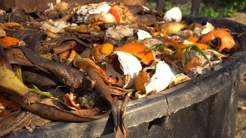 Home compost bin Stock Footage 121143647
