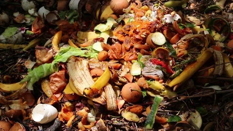 Home compost container Stock Footage 76118625