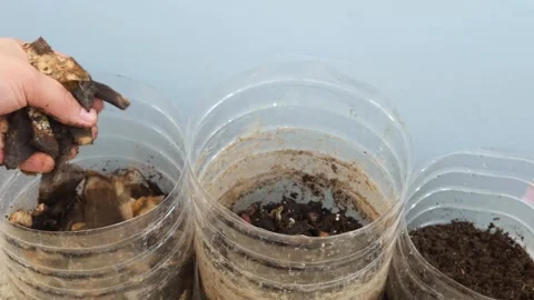 Home composting diy setup Stock Footage 267335014