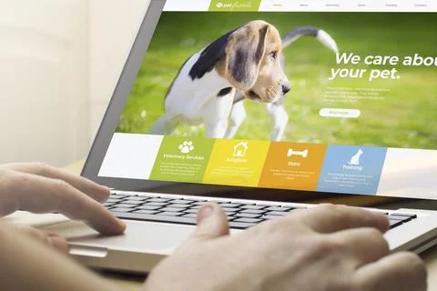 Home computing pet website Stock Photos