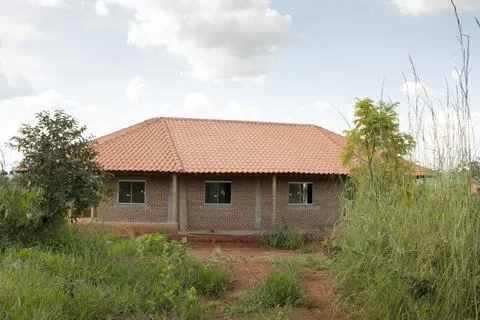 Home Constructing for the Indigenous Tribes in Northwest Brasilia 스톡 사진