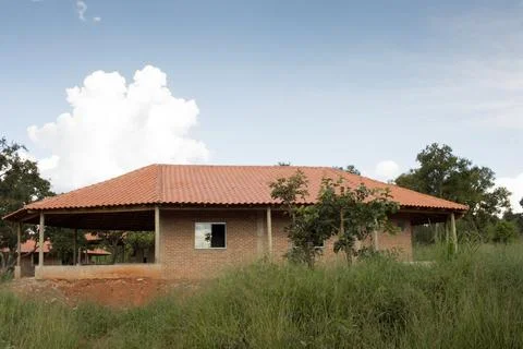 Home Constructing for the Indigenous Tribes in Northwest Brasilia Stock Photos