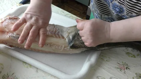 Home cooking process.  The cook is cleaning the cod fish.  Healthy food concept 스톡 동영상 136638986