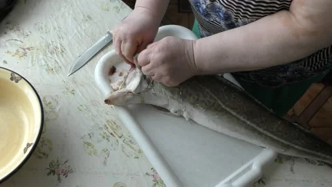 Home cooking process.  The cook is cleaning the cod fish.  Healthy food concept Stock Footage 136639173